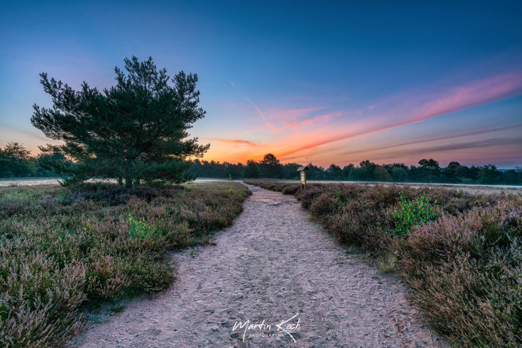 Fotograf der Elemente Landschaft Morgenrot Mehlinger Heide