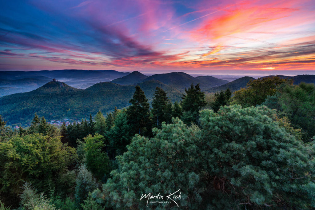 Fotograf der Elemente Landschaft Morgenrot Pfälzer Wald
