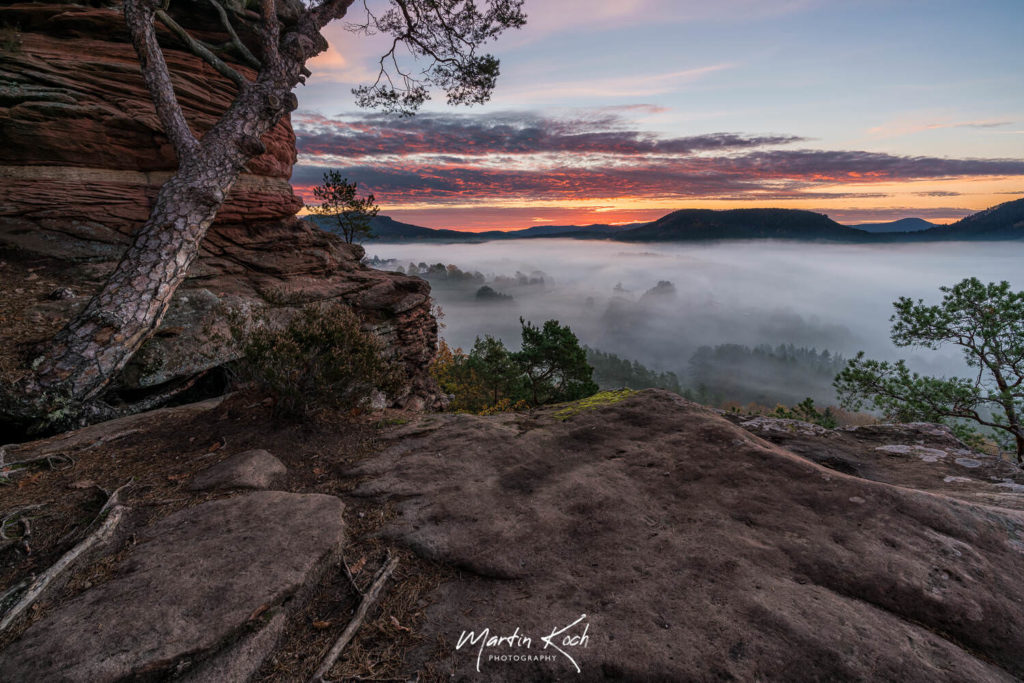 Fotograf der Elemente Landschaft Morgenrot Pfalz