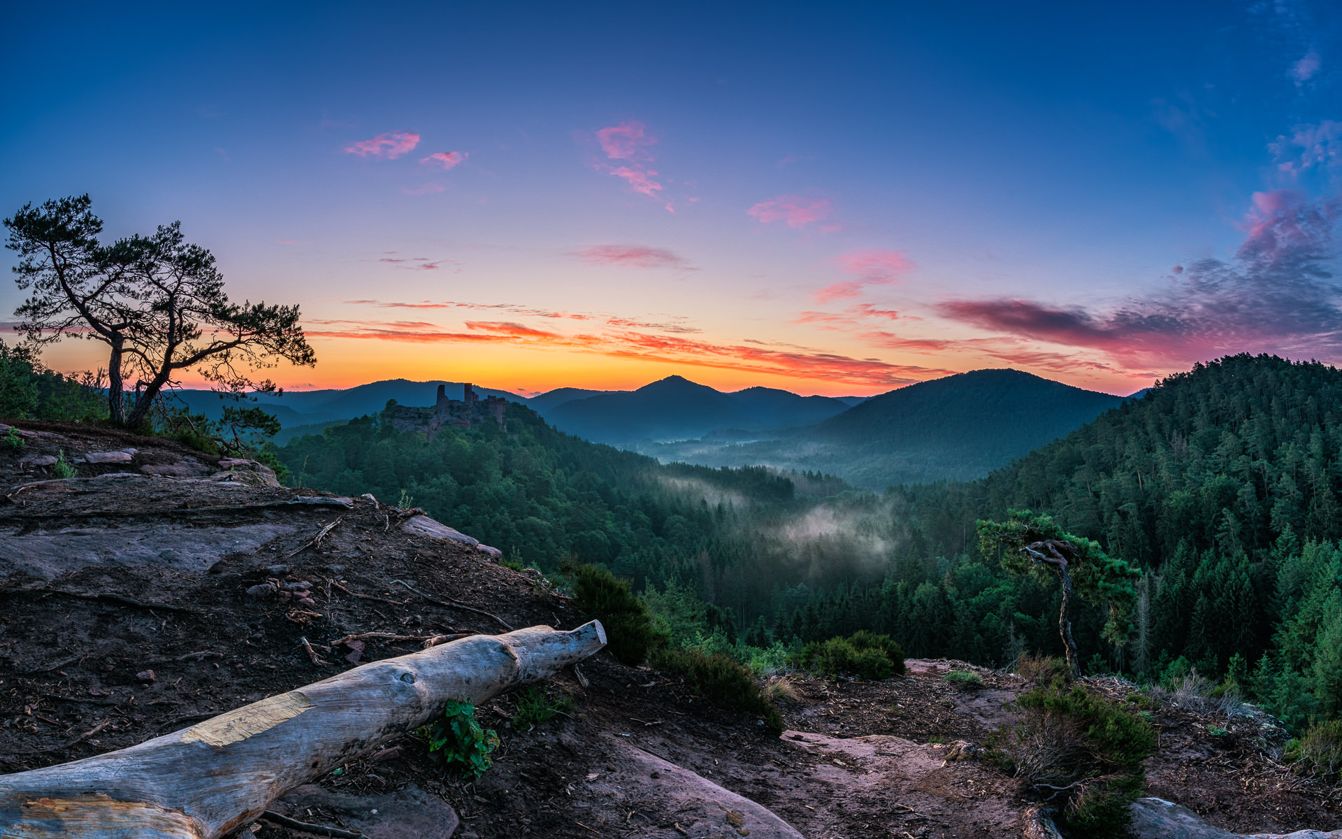martin-koch-morgenrot-pfaelzer-wald-2020-slideshow-1