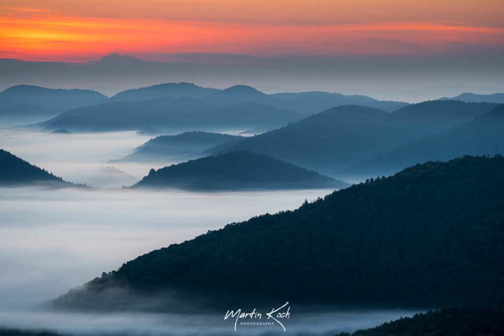 Fotograf der Elemente Landschaft Sonnenaufgang Nebel Pfälzer Wald