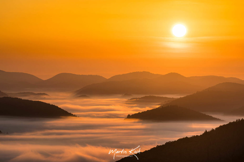 Fotograf der Elemente Landschaft Sonnenaufgang Nebel Pfälzer Wald