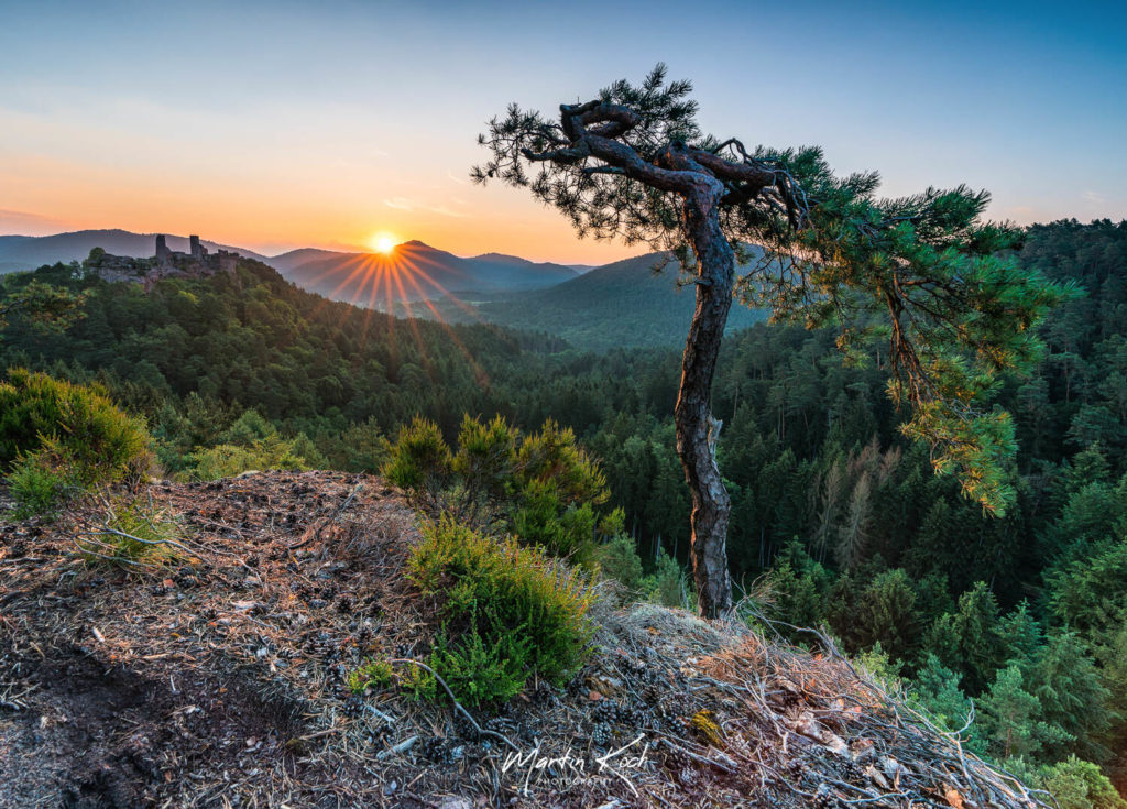 Fotograf der Elemente Landschaft Sonnenaufgang Pfälzer Wald