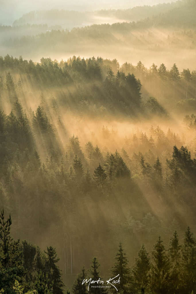 Fotograf der Elemente Landschaft Sonnenaufgang Pfälzer Wald