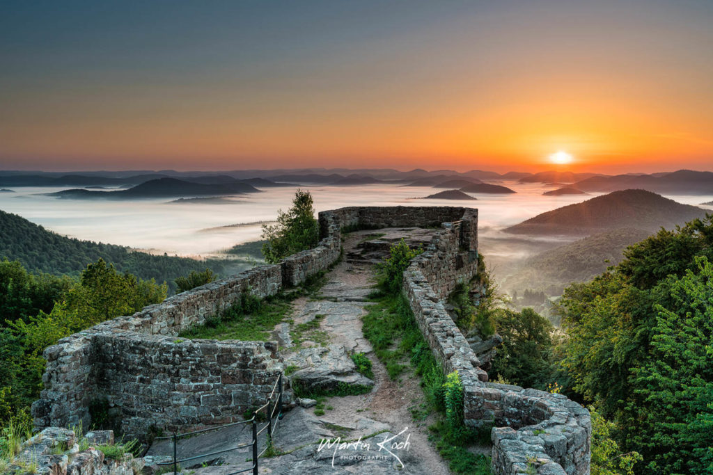 Fotograf der Elemente Landschaft Sonnenaufgang Nebel Wegelnburg Pfälzer Wald